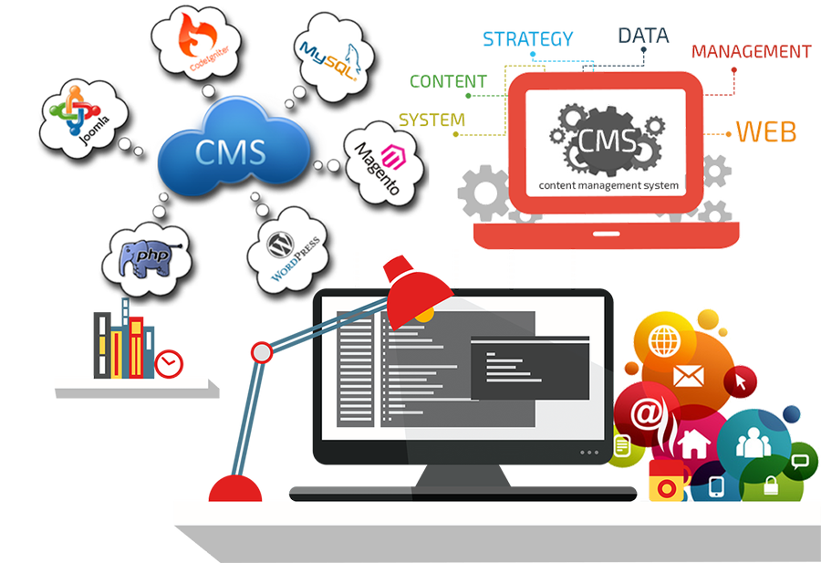CMS Development Services in Patna